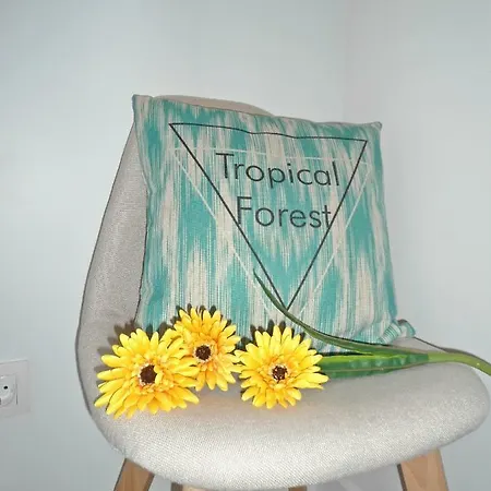 アパート Funchal Apartment