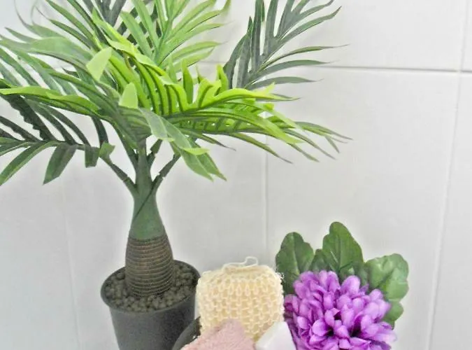 Funchal Apartment Apartamento *