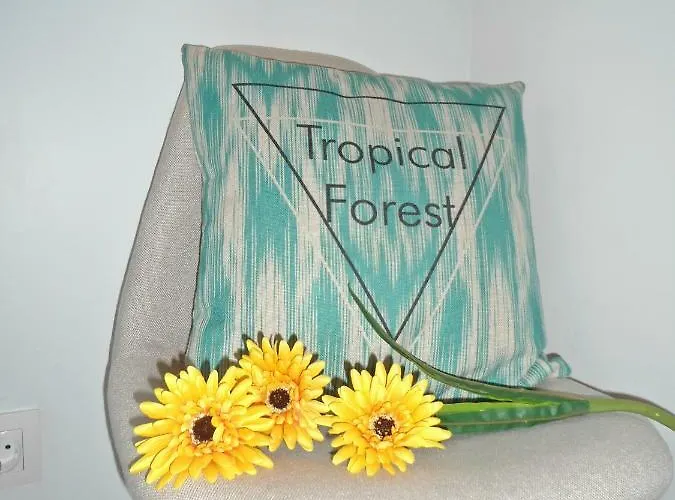 Apartamento Funchal Apartment